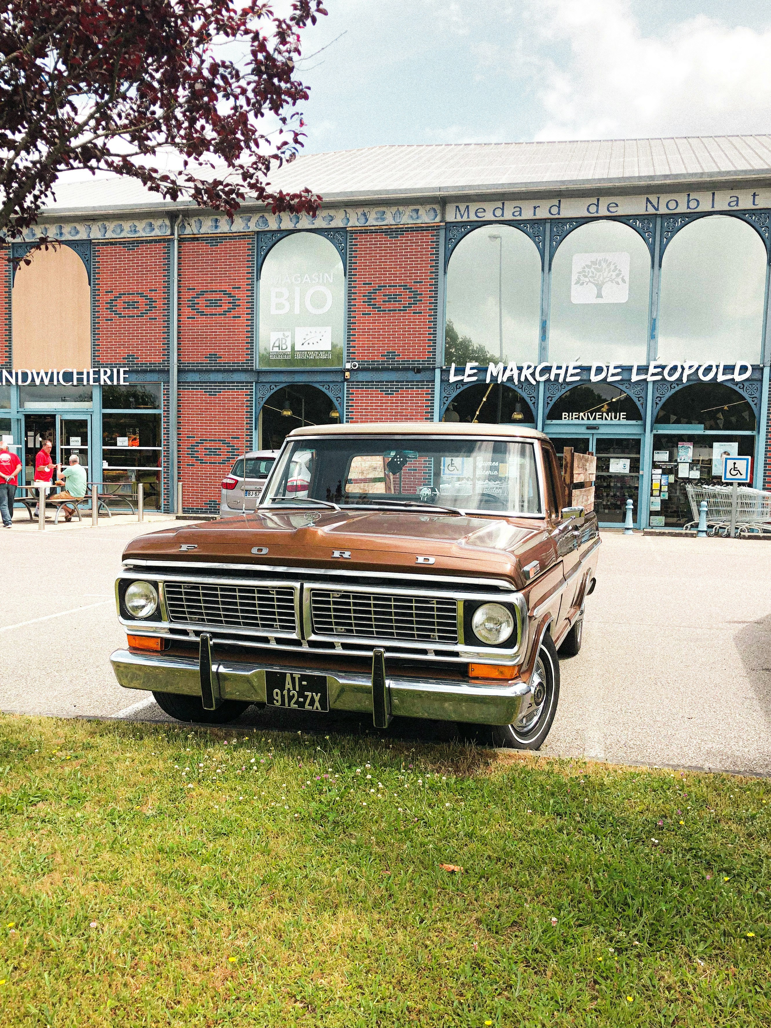 brown classic car parked on green grass field near building during daytime